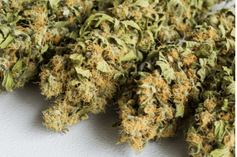The Unique Aroma and Flavor Profile of White Truffle Cannabis